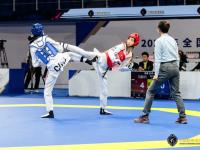 NG28-跆拳道总决赛，东城铁骑队与漓江海豚队逆转，体能对抗拉满！定海神针仍在的简单介绍