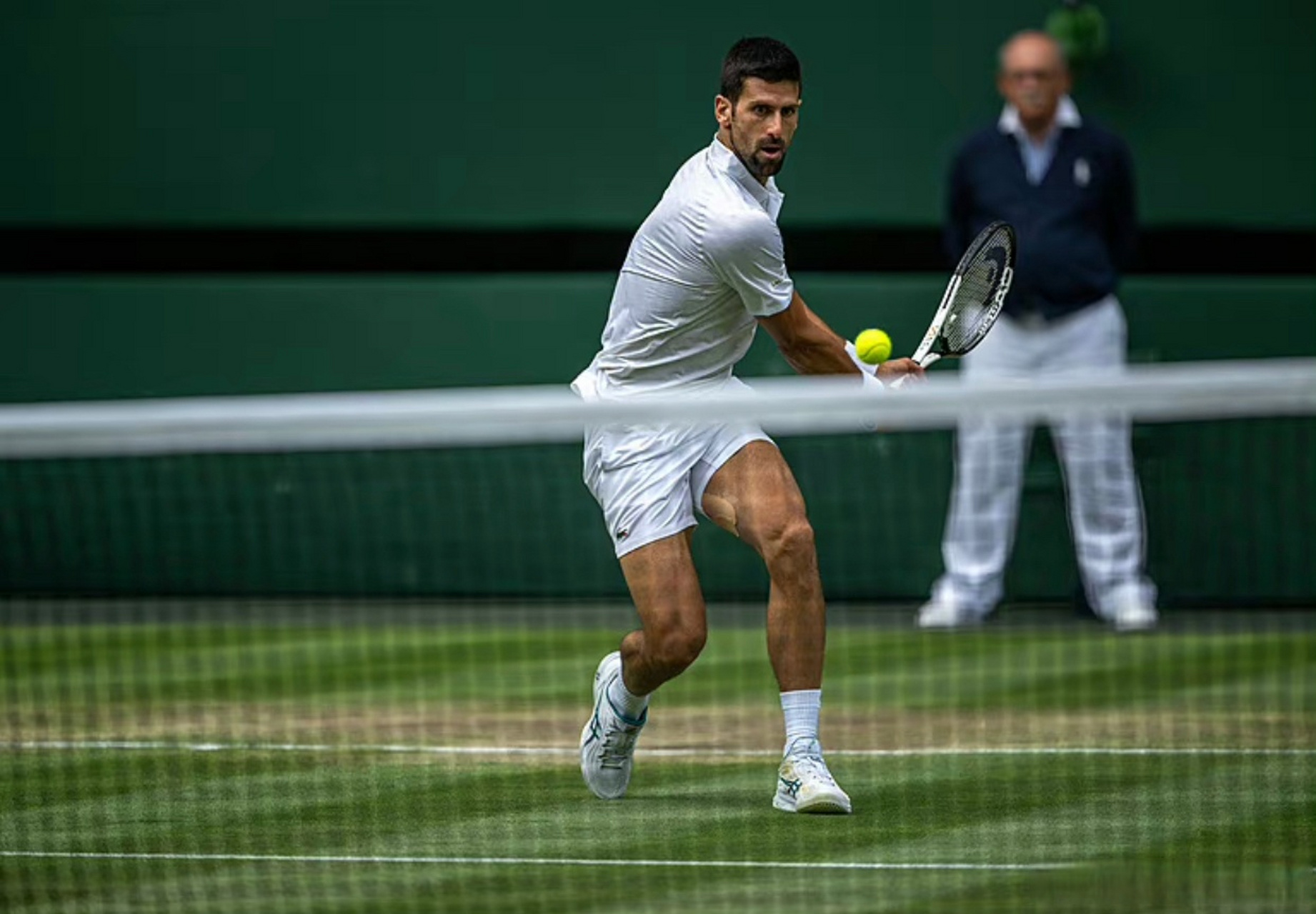  德约科维奇新星战术调整表现突出，独行侠前途光明！气势如虹延续